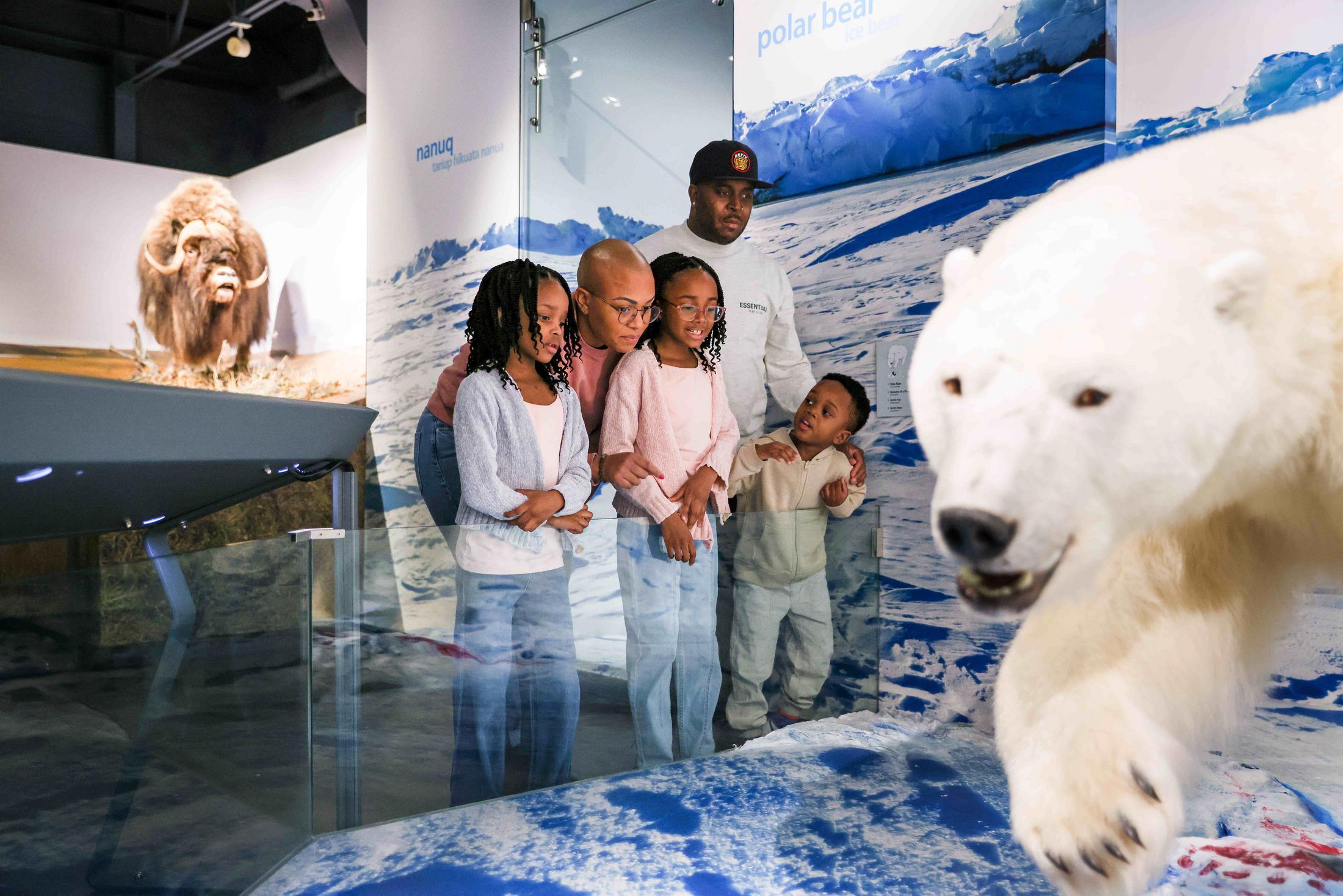 One of the best museums in Yellowknife. The Prince of Wales Heritage Center. Afamily sees a polar bear display. Photo Hannah Eden