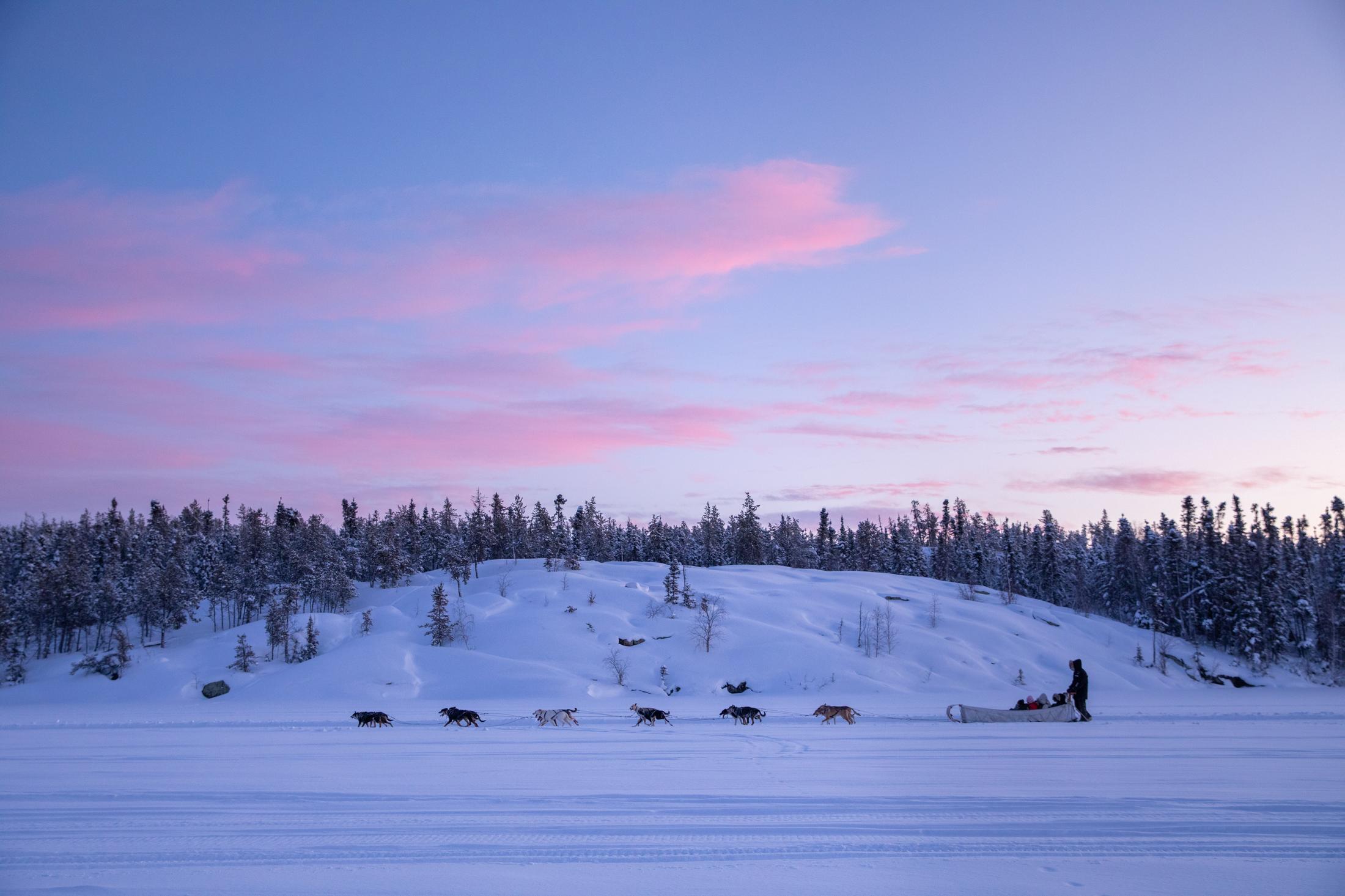 Dog sledding across Grace Lake in the Northwest territories. Julien Schroder