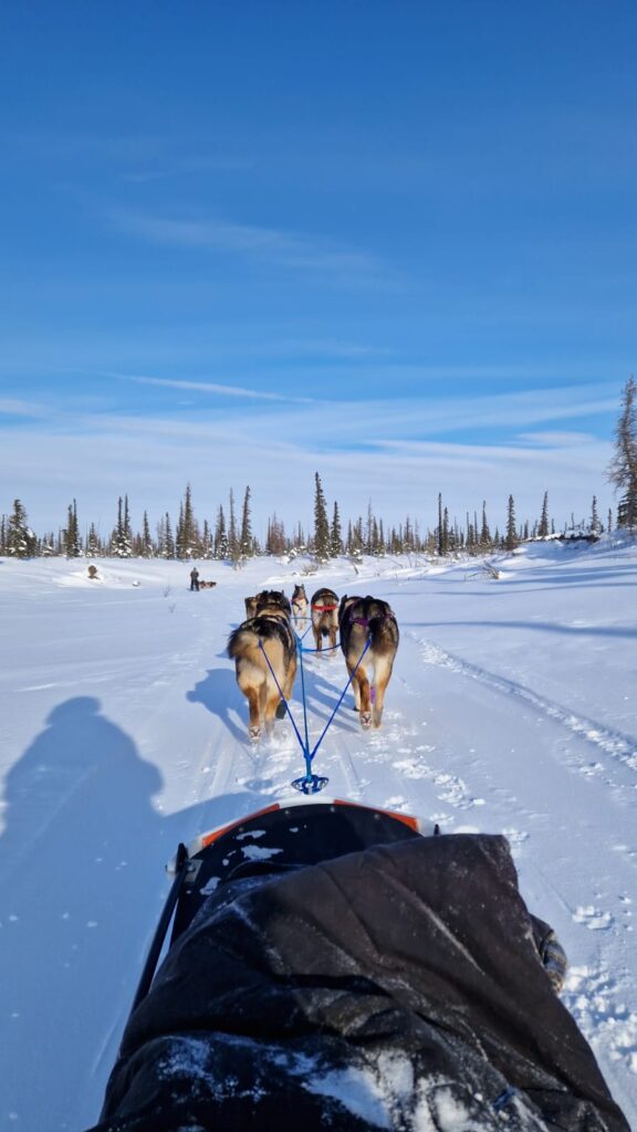 Okpik Arctic Village_Western Arctic_Winter_2024_3