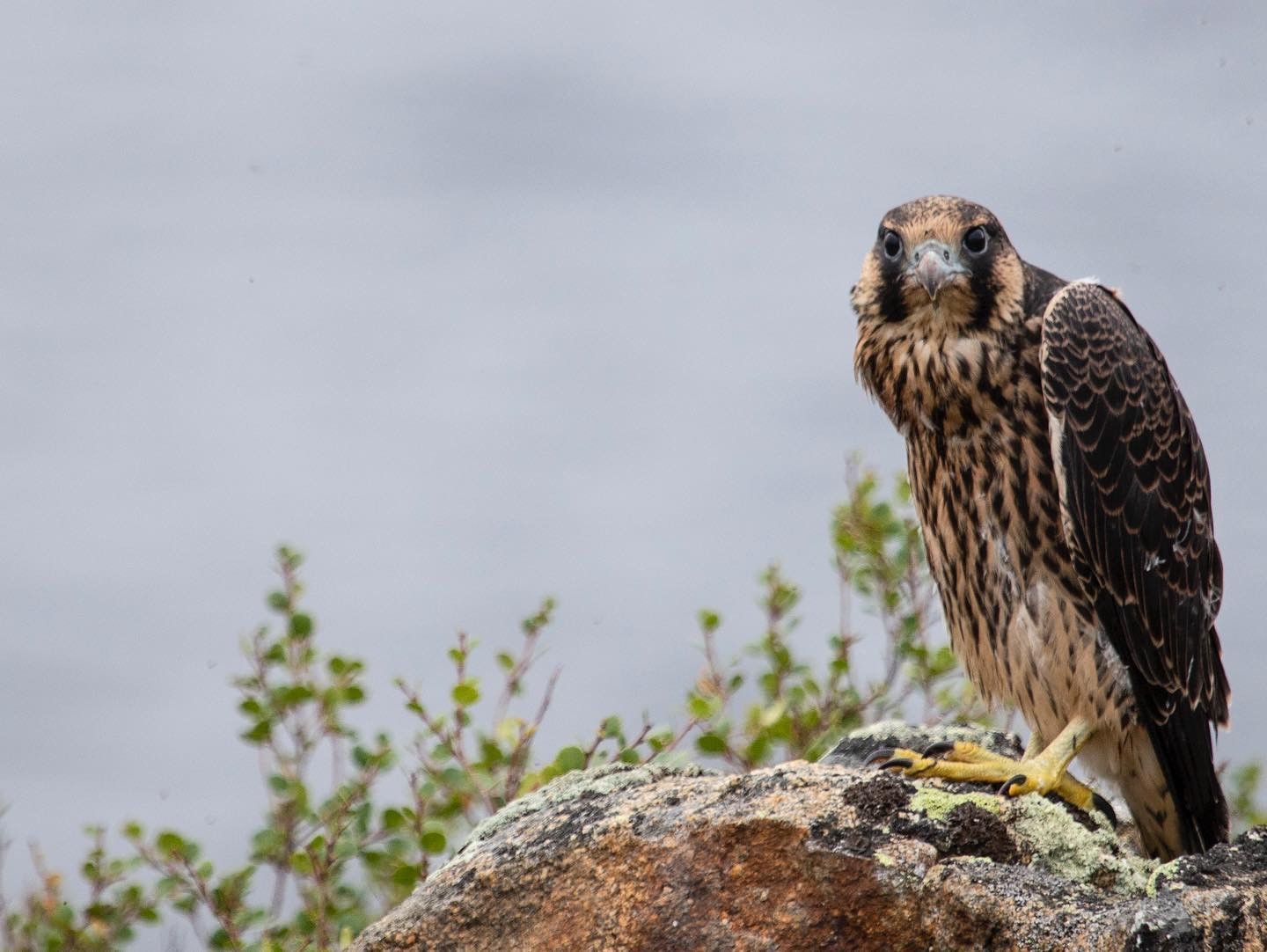 Aylmer Lake Lodge_Photography Package_2025_1